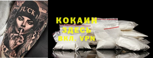 дмт Белокуриха