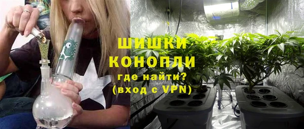 дмт Белокуриха
