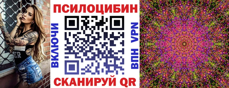 купить наркотики цена  дарк нет какой сайт  Галлюциногенные грибы Magic Shrooms  Шенкурск 